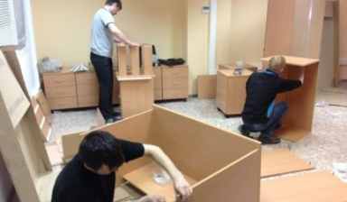 16292323038263224 384