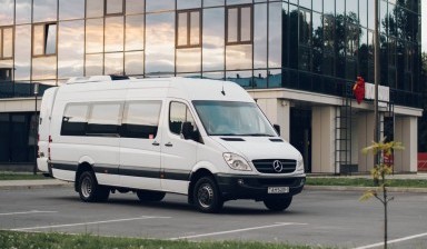 16916033006491224 384