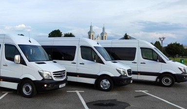 17380028008049224 384